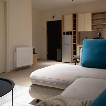 Zarku Apartments Бакуриани Экстерьер фото